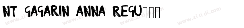 NT Gagarin Anna Regu字体转换